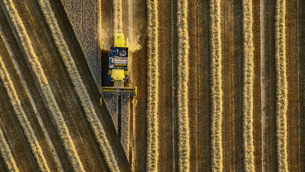 Investi nei titoli agricoli più performanti