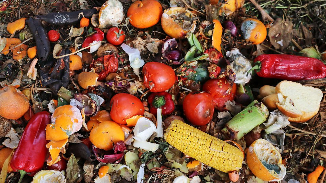 Cibo in decomposizione sul cumulo di compost